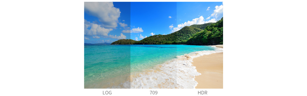 33 встроенных 3D LUT, включая S-log 2/3, V-log, C-log 1/2/3, Log-C, J-log1, Redlog,BMD, FujiFilm, GoPro, DJI – для преобразования Log каринки в REC 709. Поддержка High Dynamic Range (HDR). 33 встроенных 3D LUT, включая S-log 2/3, V-log, C-log 1/2/3, Log-C, J-log1, Redlog,BMD, FujiFilm, GoPro, DJI – для преобразования Log каринки в REC 709. Поддержка High Dynamic Range (HDR).