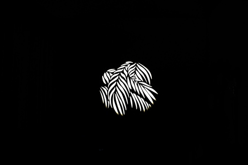 NANLITE AS-GB-FZ60-SET2