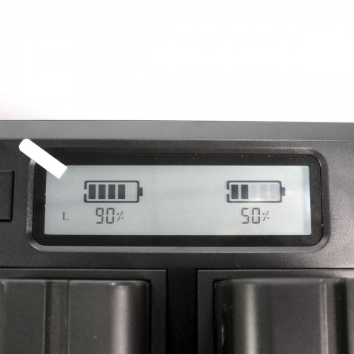 Зарядное устройство 2-х канальное 8,4В CNRY NP-F LCD Dual