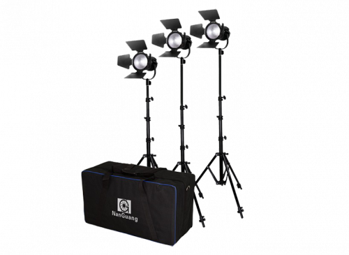 Комплект Nanlite (Nanguang) CN-30F 3KIT with trolly case