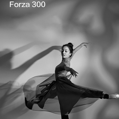 Светодиодный прожектор с рефлектором. 300Вт. 5600К Nanlite (Nanguang) Forza 300