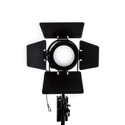 Светильник Nanlite (Nanguang) CN-60FC LED Fresnel Light Bi-color