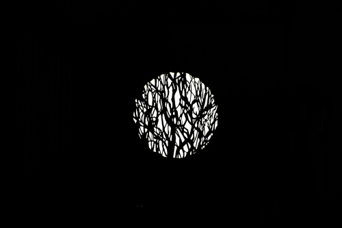 NANLITE AS-GB-FZ60-SET2
